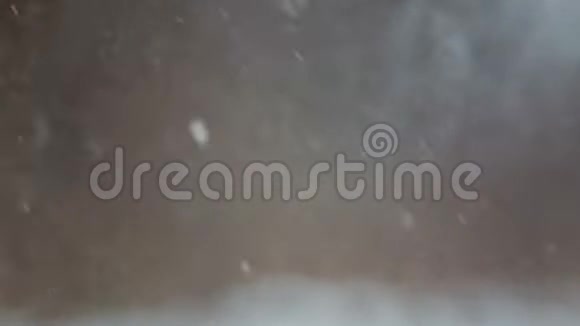 冬季降雪森林特写视频的预览图