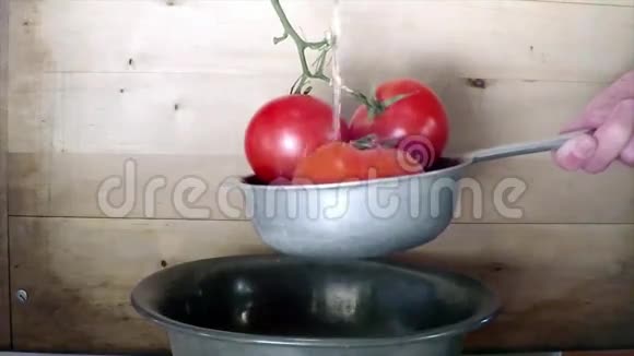 把西红柿洗干净视频的预览图