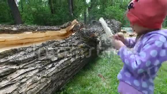 童女迅速打磨一块木头这个女孩对他的工作很有热情视频的预览图