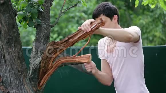 夏天戴帽子的年轻人在树上锯树枝锯木头视频的预览图