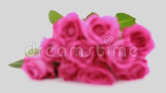 把粉色玫瑰作为礼物视频的预览图