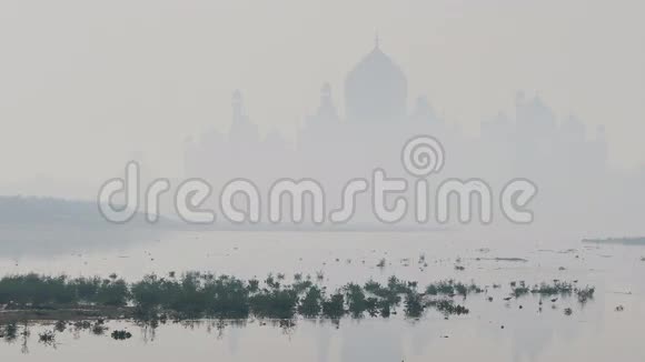 清晨雾蒙蒙的泰姬陵印度4k视频的预览图