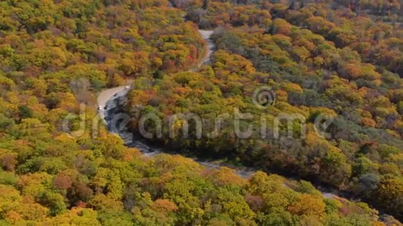 秋天的概念空中拍摄的一条小山之间的道路道路周围有许多黄色和红色的树木视频的预览图