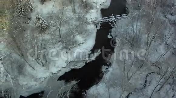 从森林中冰冻河流上方看视频的预览图