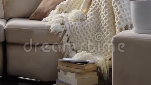相机在舒适的沙发上摆放着手工毛毯和书籍视频的预览图