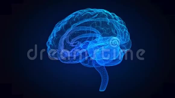旋转人脑发光蓝色人脑三维模型虚拟空间中的无缝循环运动神经元视频的预览图