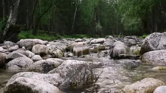 小山河湍急的水流河岸边的树木视频的预览图