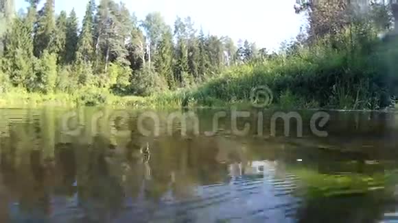 水下河流植被夏季视频的预览图