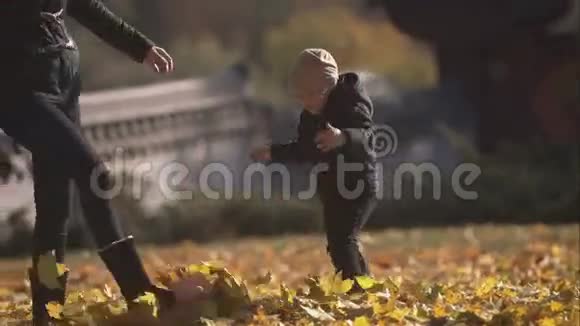 妈妈和小儿子在公园里的树叶里洗澡视频的预览图