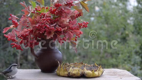 鸟在花园里的木桌上啄着葵花籽核粒和大蒂视频的预览图