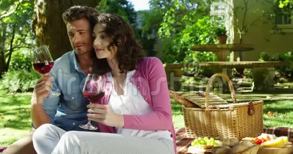一对情侣在公园里喝红酒视频的预览图
