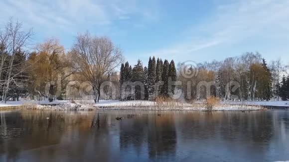 城市公园里的第一场雪鸭子在冰冷的池塘和一条长凳上覆盖着视频的预览图