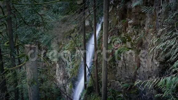 风景区森林中的瀑布岩面视频的预览图