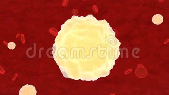 病毒感染血细胞视频的预览图