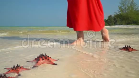 热带白沙海水中有红海星小鱼岛上的海星穿着红色裙子的女人走在视频的预览图