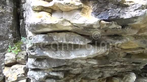 在峡谷里有很多化石视频的预览图