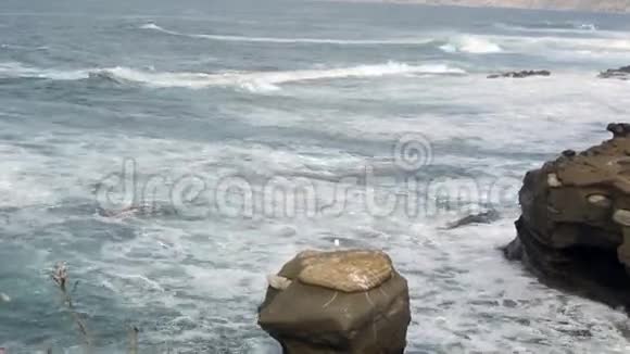海鸥在岩石上海浪拍打视频的预览图