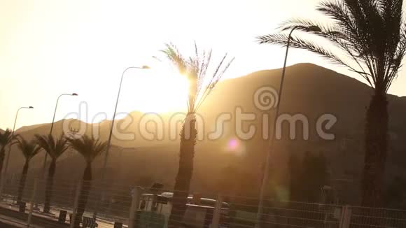 夕阳下棕榈树沿着公路棕榈树在群山的背景下太阳在山上落下视频的预览图