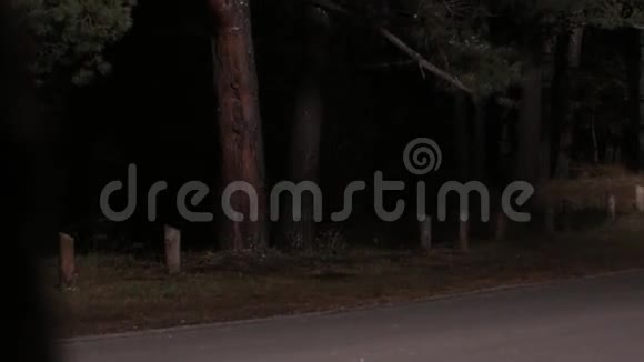 在夜间道路上危险驾驶视频的预览图