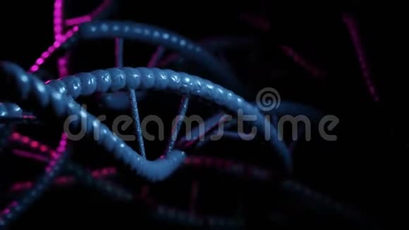 3D在黑色背景下呈现旋转DNA分子的可循环动画生物生物技术化学科学医学视频的预览图