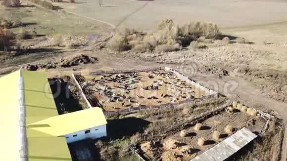 奶牛场和谷仓射击直升机视频的预览图