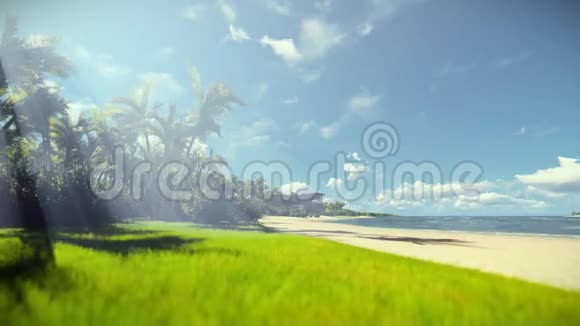 热带沙滩晨雾旅游摄像视频的预览图