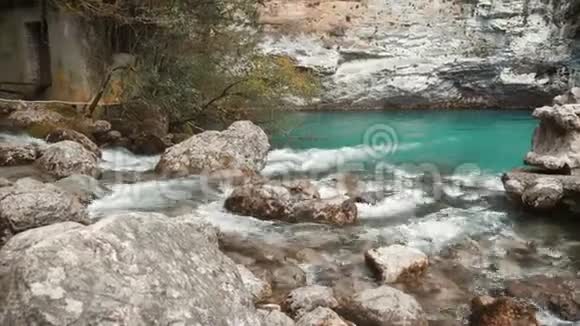 在有石头的山河中快速的水流来自冰川的新鲜冷水自然景观与树木视频的预览图