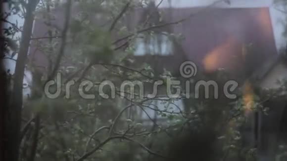 树在窗外摆动树枝视频的预览图
