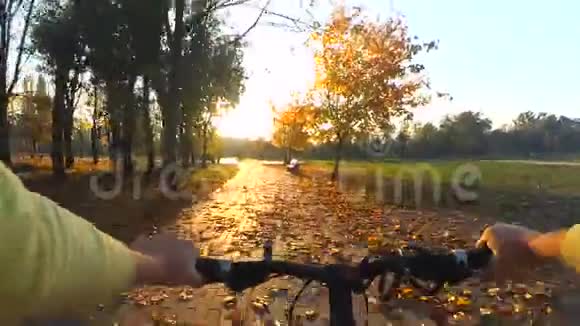 在森林灌丛中的一条狭窄的小路上骑自行车视频的预览图