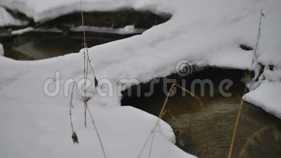 冬天的小河和木村桥视频的预览图