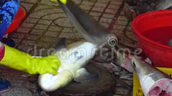 当地人在市场上工作女人是有选择的鱼女人清洁和准备鱼越南切鱼视频的预览图