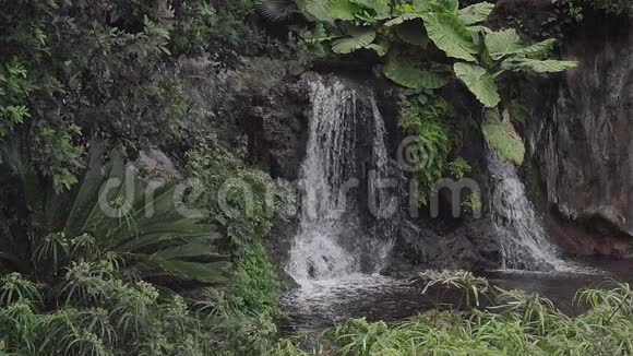 带岩石的瀑布北布埃纳维斯塔特内里费岛加那利群岛视频的预览图