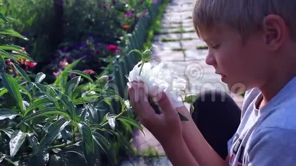 孩子吸入盛开的花朵的香气视频的预览图