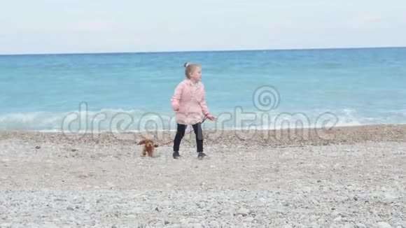 小女孩带着小狗走视频的预览图
