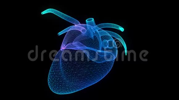 人体心脏的运动动画三维数字技术可视化虚拟模型无缝循环4k动画视频的预览图