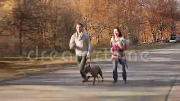 秋天公园有狗跑的快乐夫妻视频的预览图