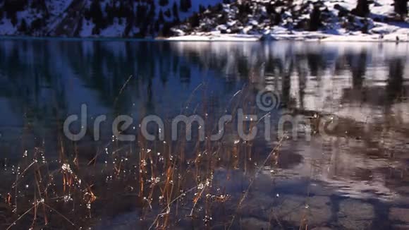 在山湖边干草上的一小块冰视频的预览图