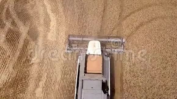 鸟瞰联合收割机收集小麦在日落收获麦田收获季节美丽的自然视频的预览图