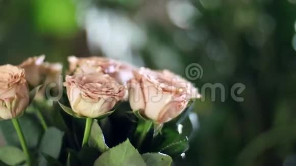 特写花束在光线照射下旋转花的组成由玫瑰卡布奇诺组成神圣视频的预览图
