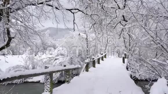 年轻女子走过大桥过河美丽的冬季冰雪覆盖景观视频的预览图