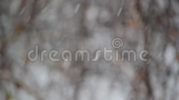 雪落在模糊的灰色和白色背景上视频的预览图