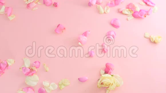 黄色的纸张在粉红色背景的玫瑰花瓣间移动视频的预览图