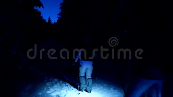 夜间在冬季森林徒步旅行的游客视频的预览图