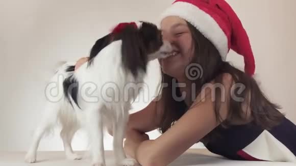 美丽的少女和狗大陆玩具斯帕尼尔帕皮隆戴着圣诞老人的帽子快乐地亲吻和愚弄着视频的预览图