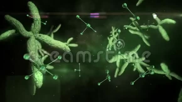 分子和染色体移动视频的预览图