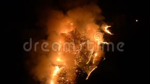 山中的夜火缓慢地燃烧着山峡岩石上的草木视频的预览图