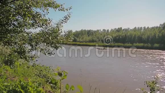 河沿河岸流着树木和草视频的预览图