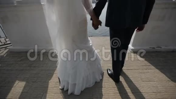 新娘和新郎沿着蓝色湖泊附近美丽的海滨散步视频的预览图