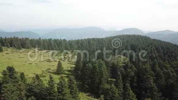 法国比利牛斯山脉草地和冷杉森林的空中景色用无人机拍摄视频的预览图