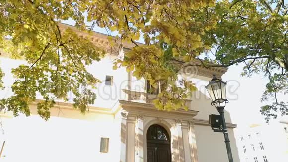美丽的大树老别墅前有秋黄的叶子树上有黄叶的背景视频的预览图